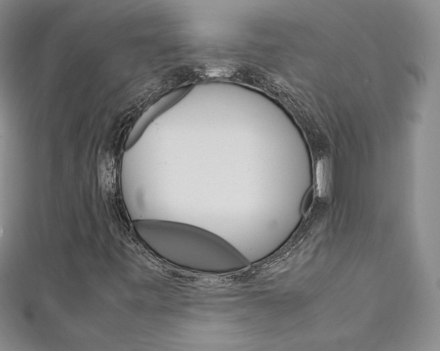 X0000111151443200906301028