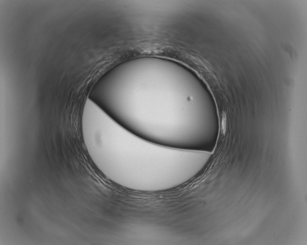 X0000111151444200906301028