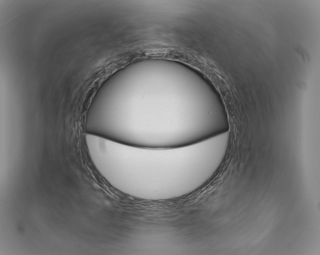 X0000111151445200906301028
