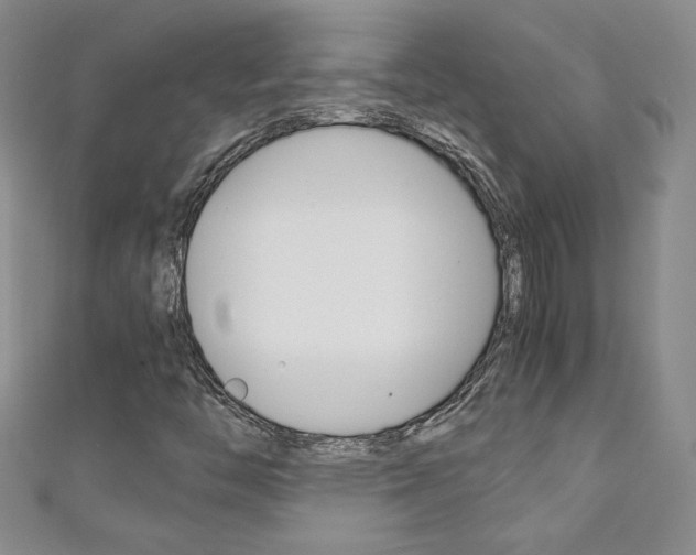 X0000111151446200906301028