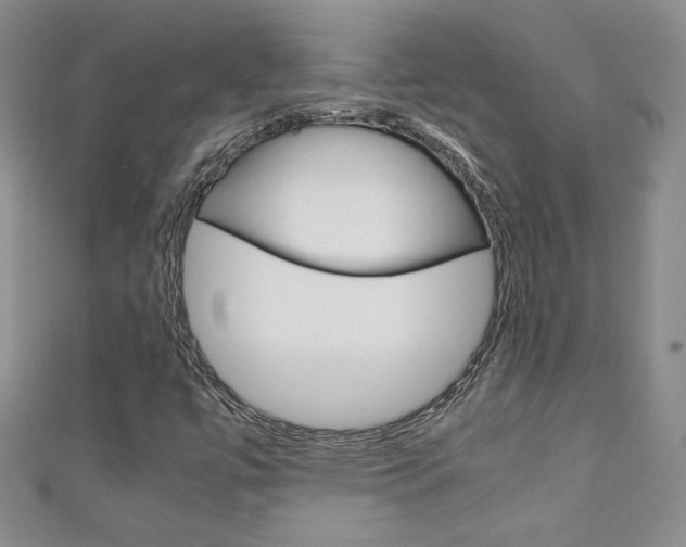X0000111151447200906301028