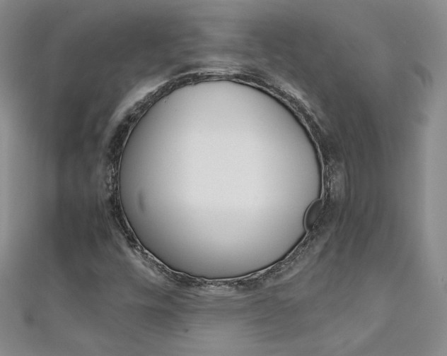 X0000111151448200906301028