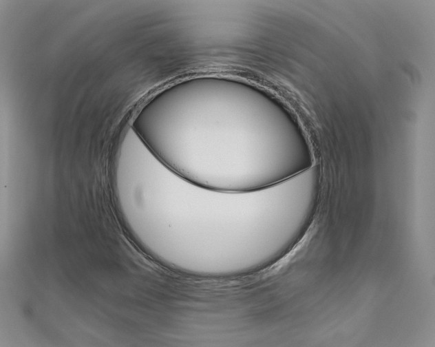 X0000111151449200906301028