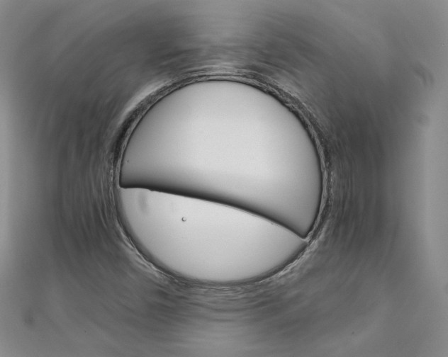 X0000111151450200906301028