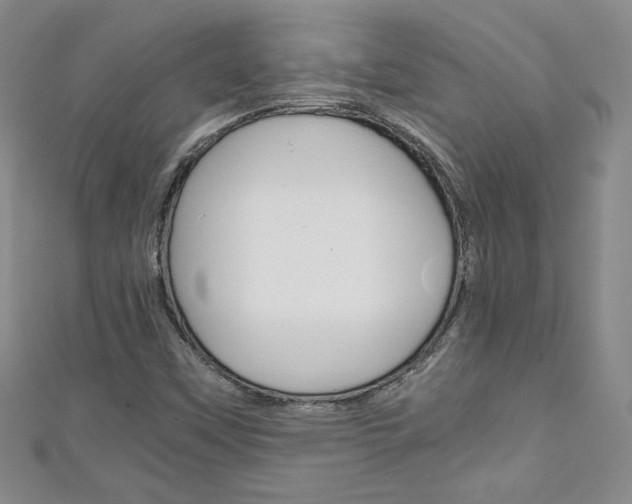 X0000111151451200906301028