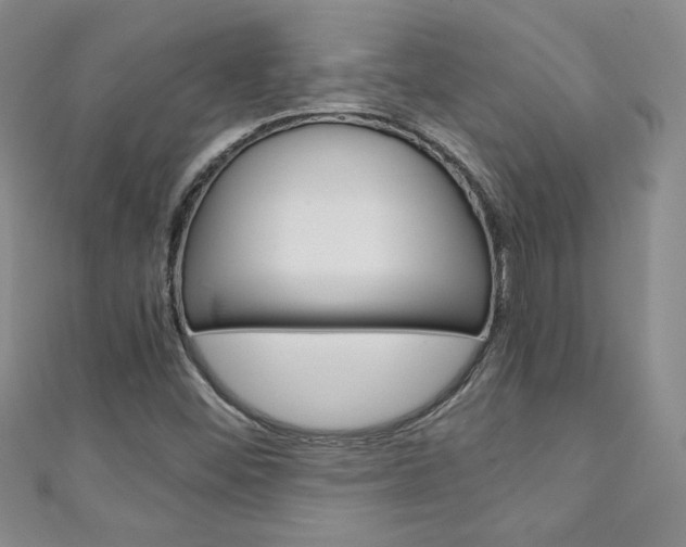 X0000111151452200906301028