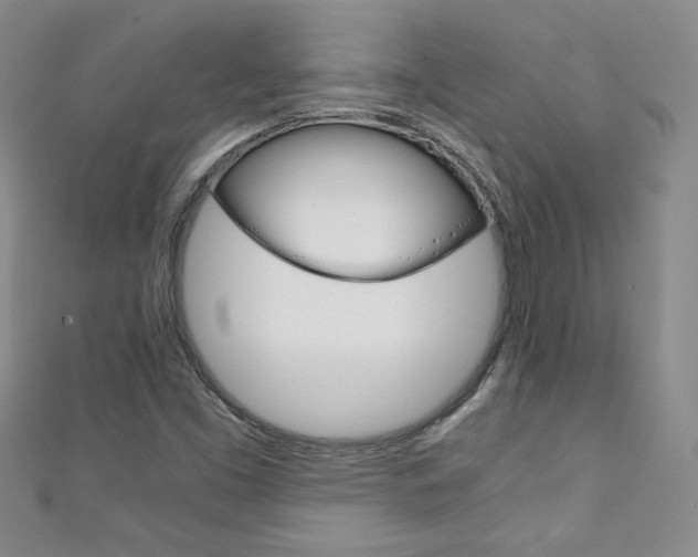 X0000111151453200906301028