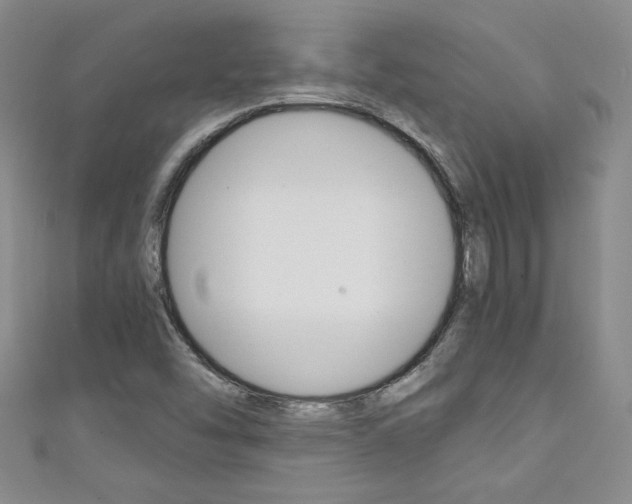 X0000111151454200906301028