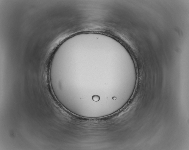 X0000111151455200906301028