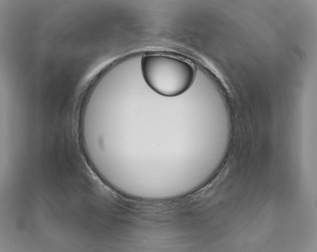 X0000111151456200906301028