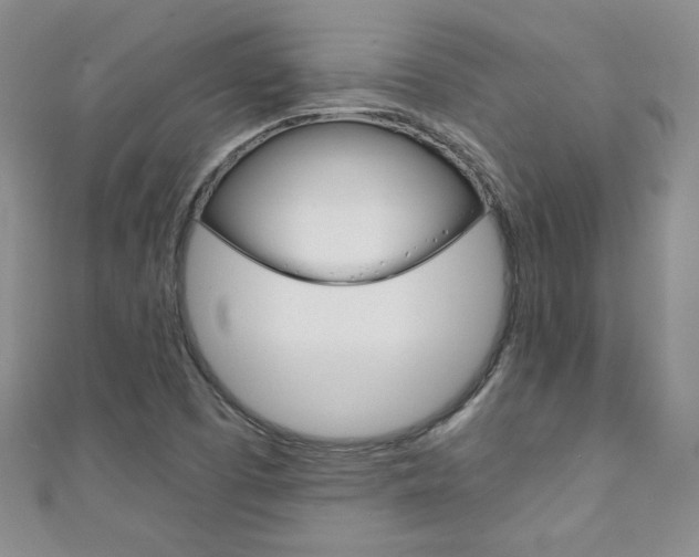 X0000111151457200906301028