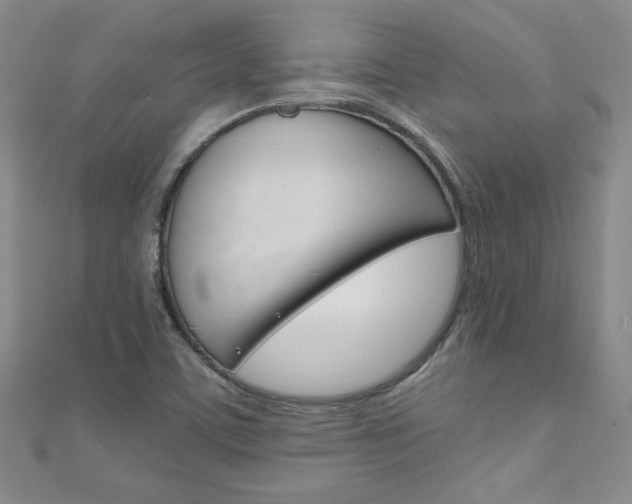 X0000111151459200906301028