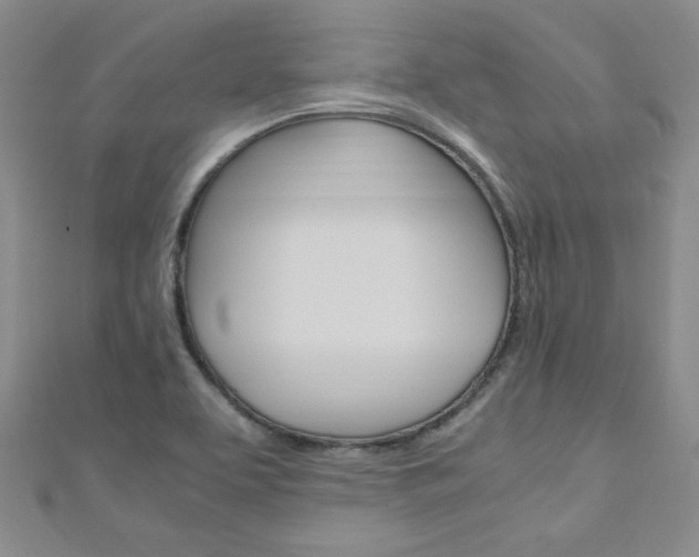 X0000111151463200906301028