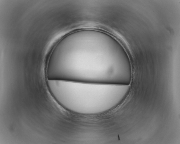 X0000111151464200906301028
