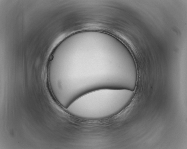 X0000111151467200906301027