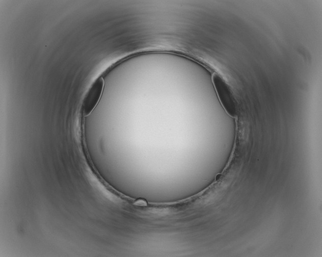 X0000111151468200906301027