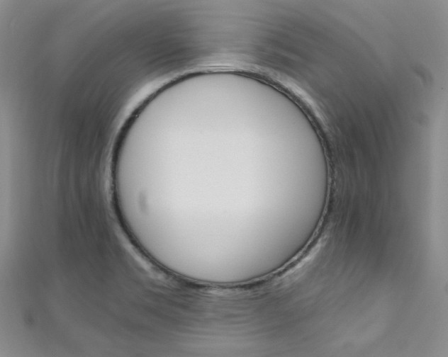 X0000111151469200906301027