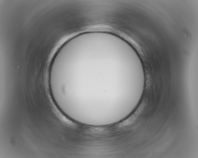 X0000111151470200906301027