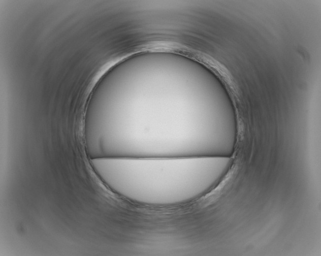 X0000111151473200906301027