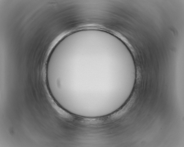 X0000111151474200906301027