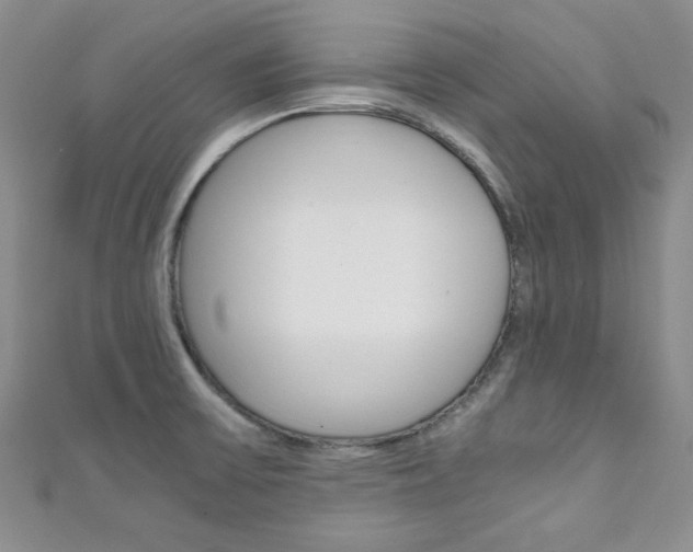 X0000111151475200906301027