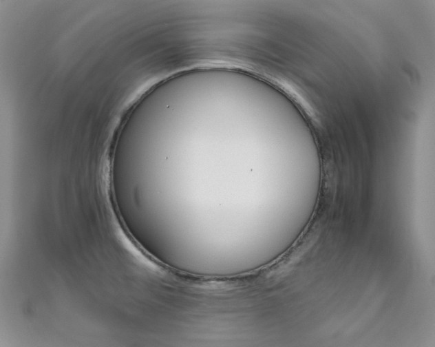 X0000111151476200906301027