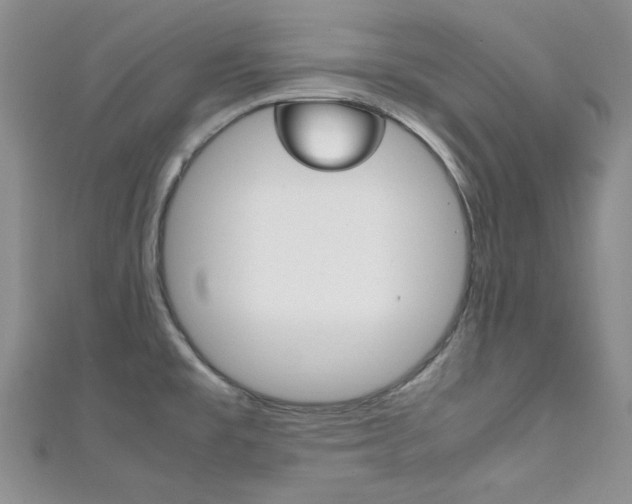 X0000111151477200906301027