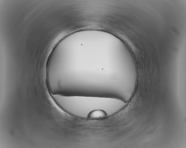 X0000111151479200906301027