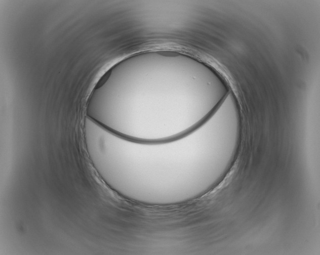 X0000111151481200906301027