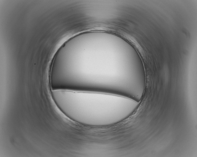 X0000111151483200906301027
