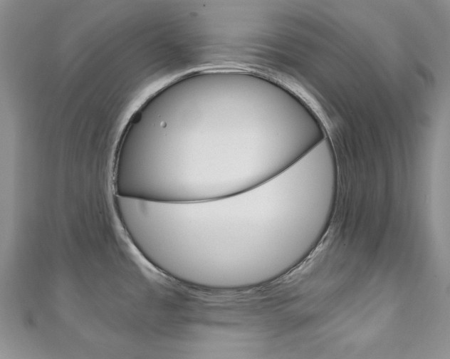 X0000111151485200906301027
