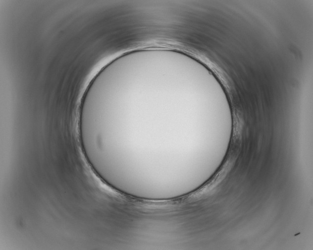 X0000111151486200906301027