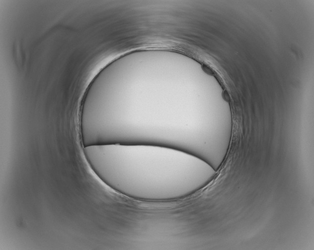 X0000111151487200906301027