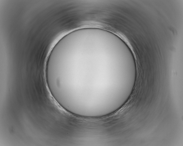 X0000111151488200906301027