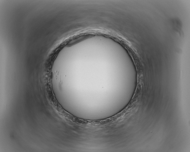 X0000111151496200906301027
