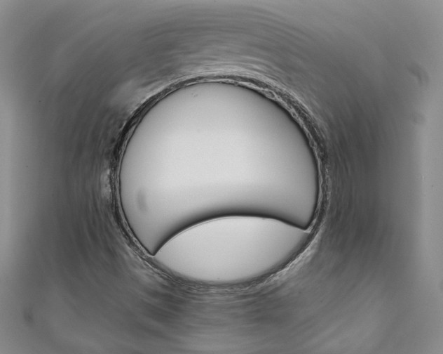 X0000111151497200906301027