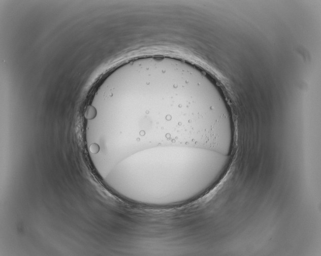 X0000111151498200906301027