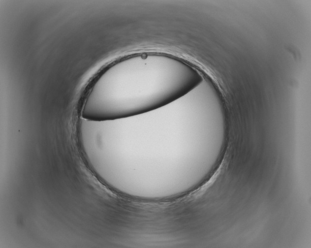 X0000111151502200906301027
