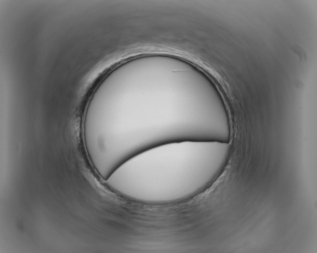 X0000111151503200906301027