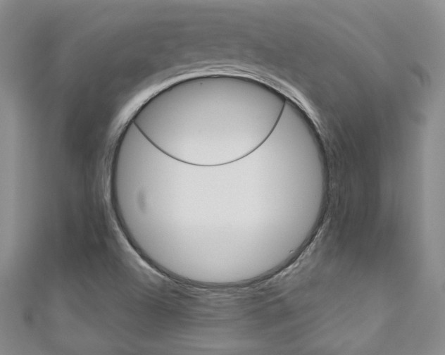 X0000111151504200906301027