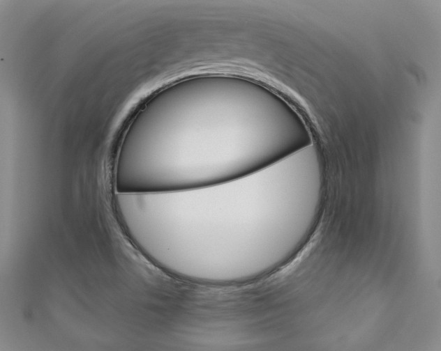 X0000111151506200906301027