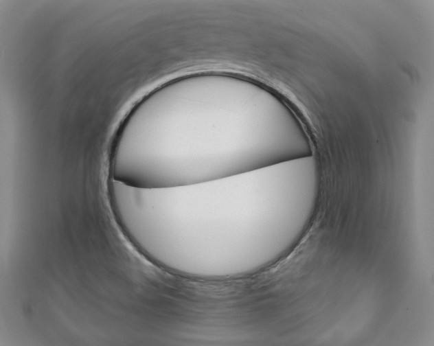 X0000111151508200906301027