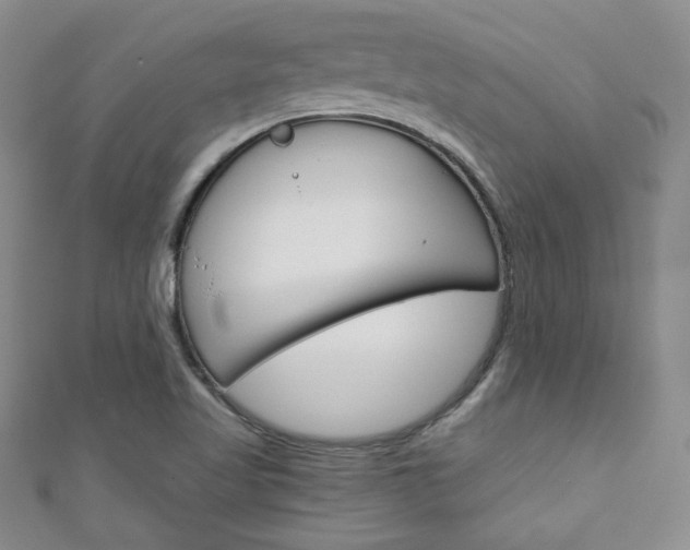 X0000111151509200906301027