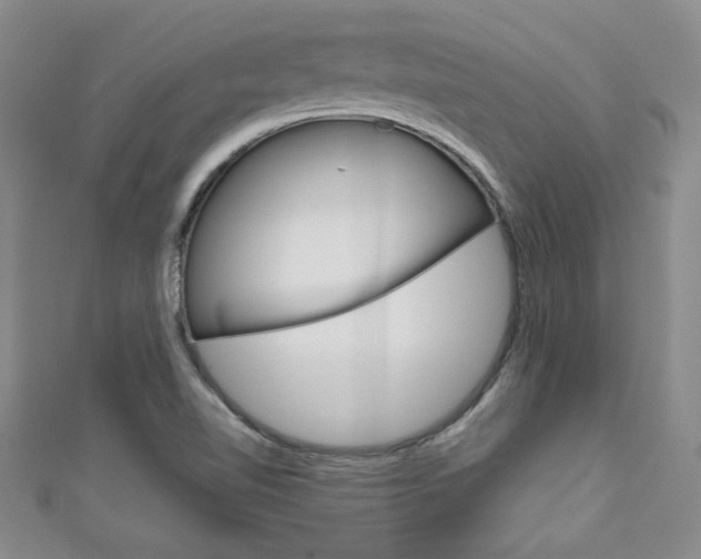X0000111151510200906301027