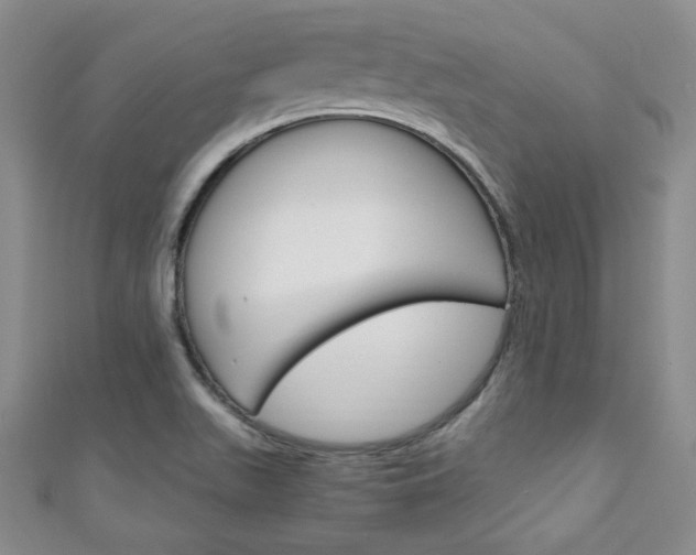 X0000111151511200906301027