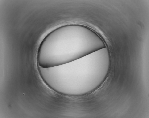 X0000111151512200906301027