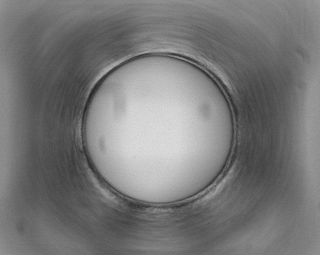 X0000111151513200906301027