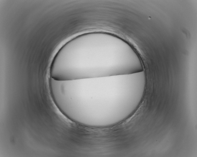 X0000111151516200906301027