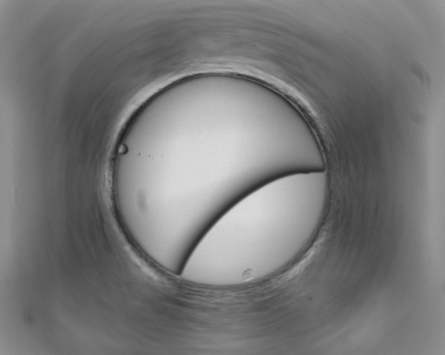 X0000111151517200906301027