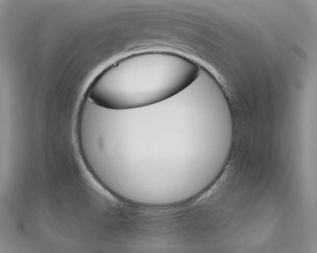 X0000111151518200906301027